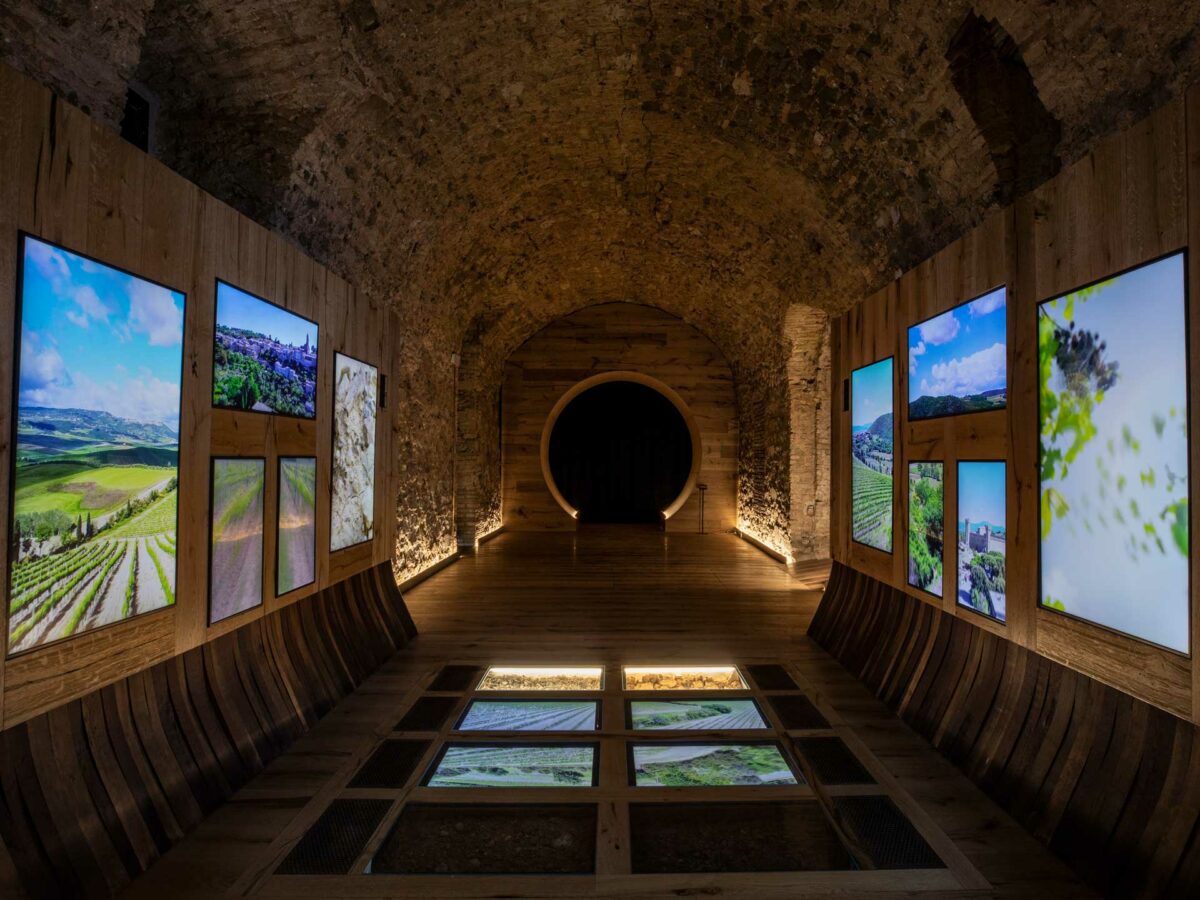 Tempio-del-Brunello-Proiezioni-Montalcino Tempio-del-Brunello-Proiezioni-Montalcino