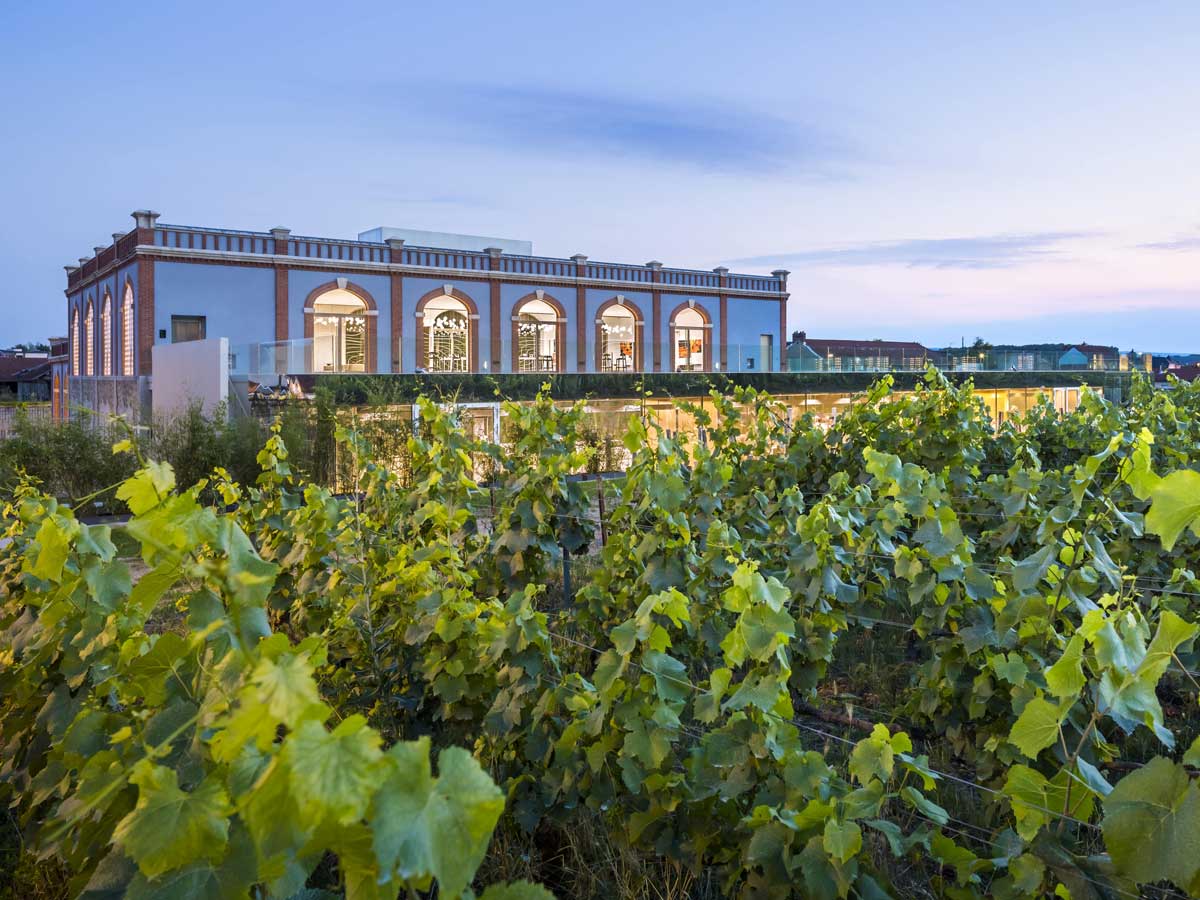 Tre-musei-del-vino-interattivi-da-visitare-Italia-Francia Tre-musei-del-vino-interattivi-da-visitare-Italia-Francia