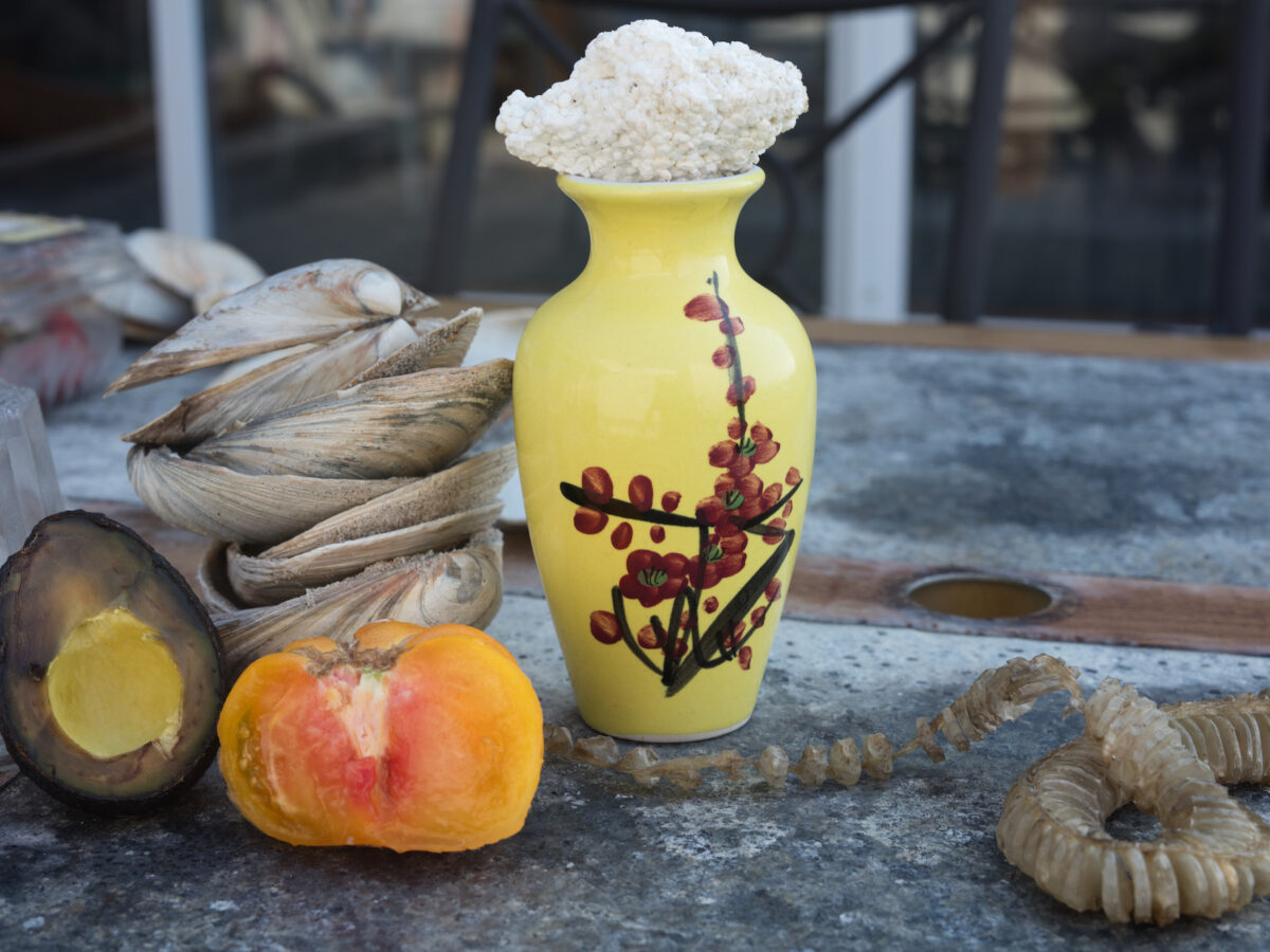 Wolfgang Tillmans unlikely match, 2017 Courtesy of Galerie Buchholz, Maureen Paley, London, David Zwirner, New York copia