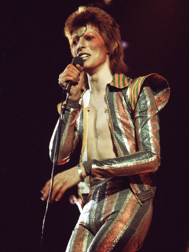 David Bowie, Ziggy Stardust David Bowie
