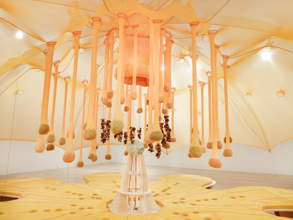 Ernesto Neto - Flower Crystal Power, 2014 - Installation view Gratitude, Asper Art Museum - Courtesy the artist and Tanya Bonakdar Gallery Photo Tony Prikryl