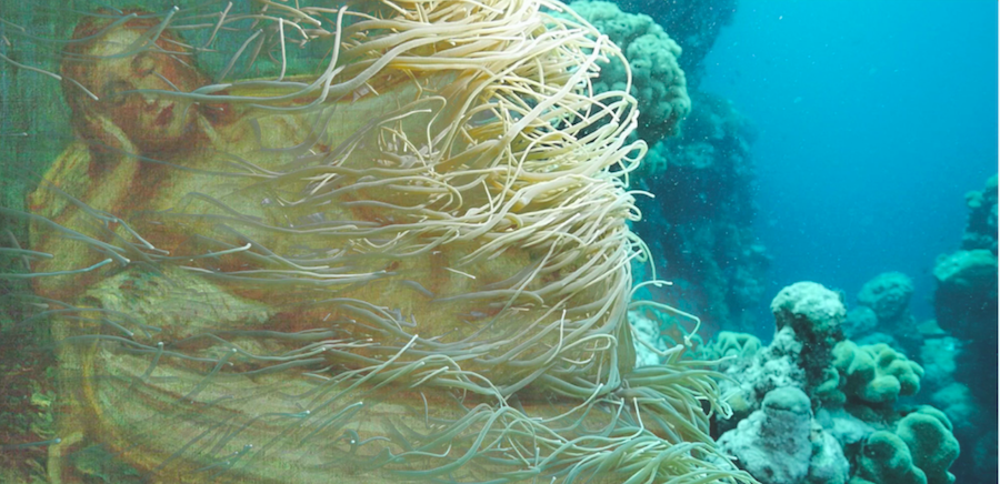 Joan Jonas, Moving Off the Land II, 2019, video still © Cortesia dell'artista