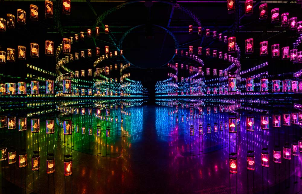 Museum of the Future Dubai -The Heal Institute