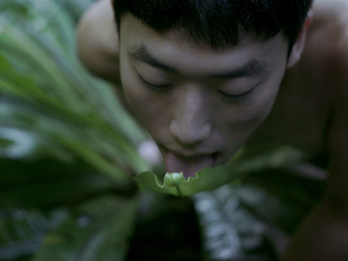 Zheng Bo, Pteridophilia 1, 2016. Video (4K, color, sound), 17 min. Courtesy the artis