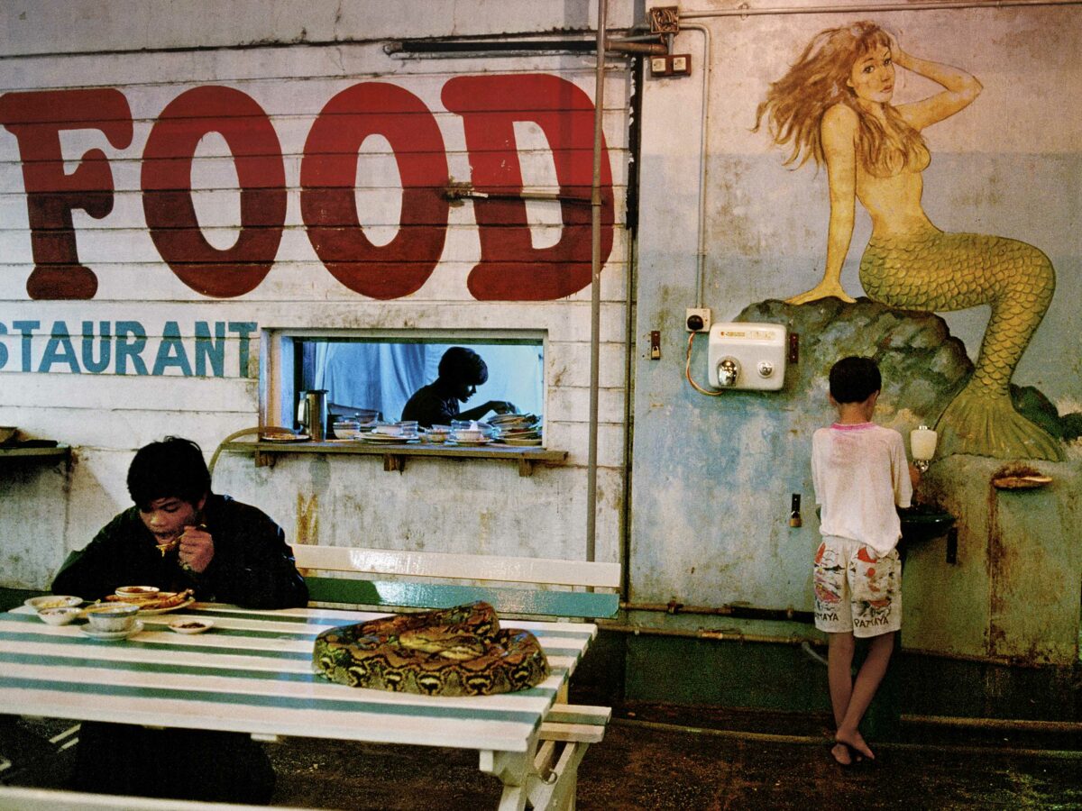 Steve McCurry Icon Magazine