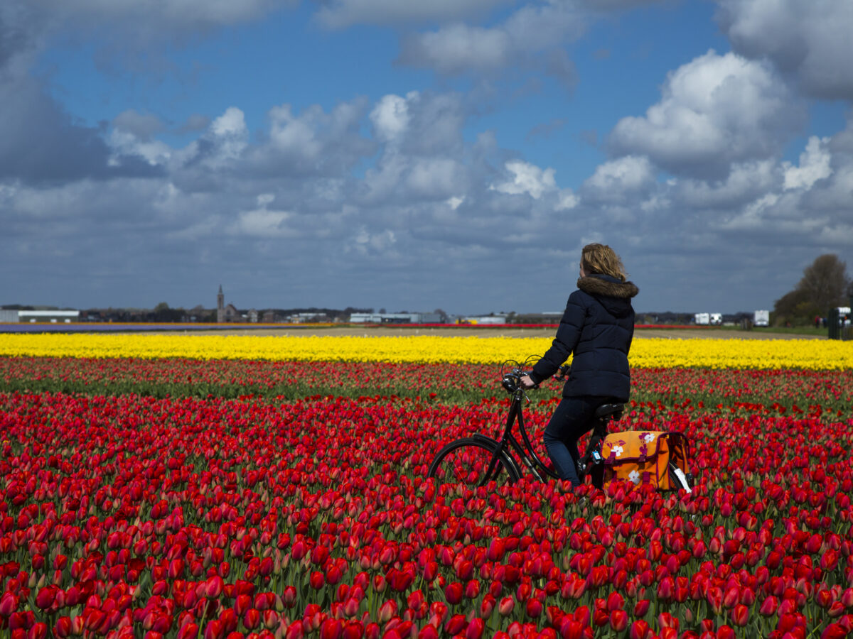 Amsterdam Icon Magazine