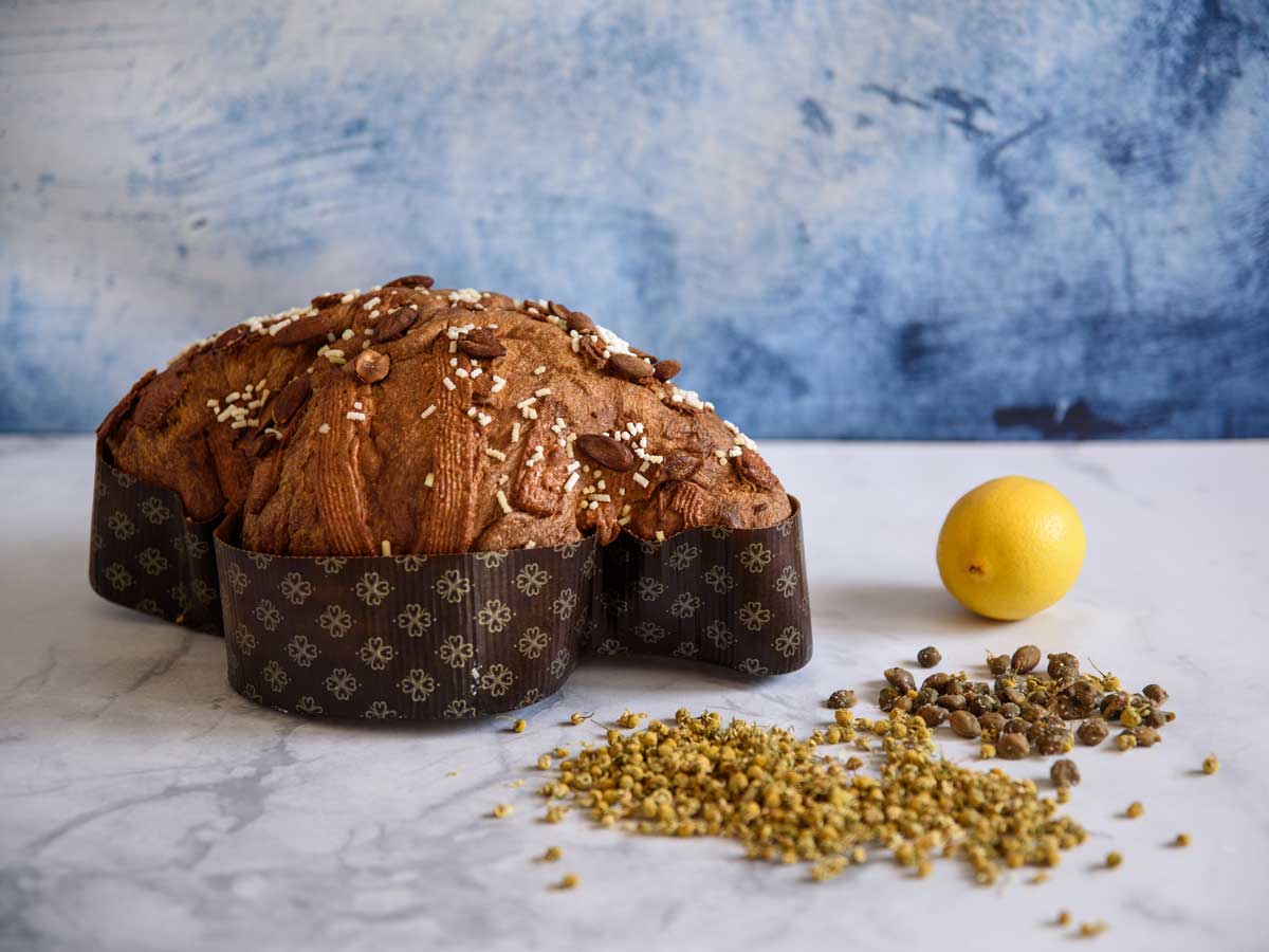 Colomba-camomilla-capperi-e-pistacchi-Ciacco Colomba-camomilla-capperi-e-pistacchi-Ciacco