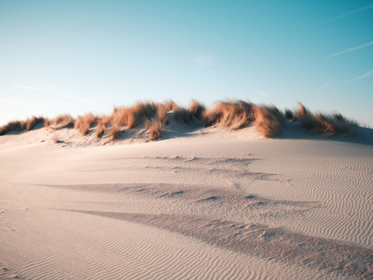 Amsterdam Icon Magazine