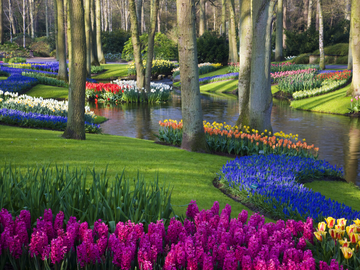 Amsterdam Icon Magazine