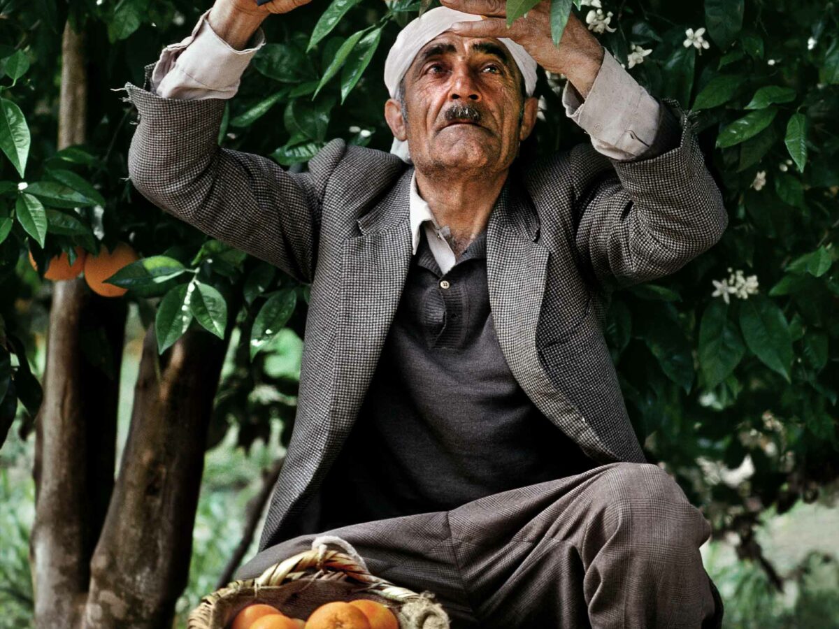 Steve McCurry Icon Magazine