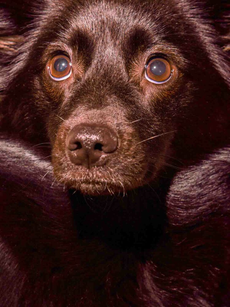 © Sari Soininen, Transcendent country of the mind - Circulation(s)