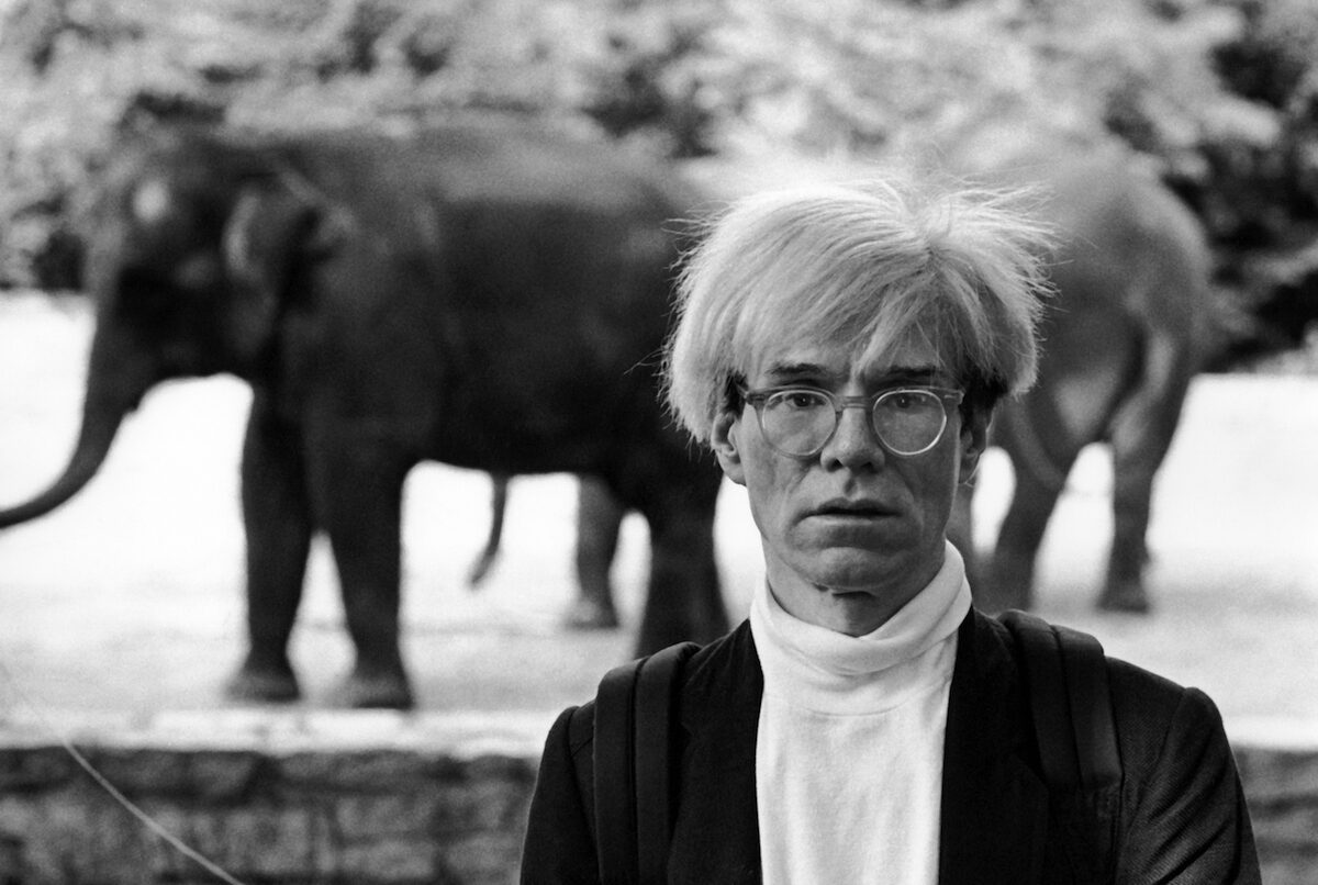 15 Mostre_immagini- star