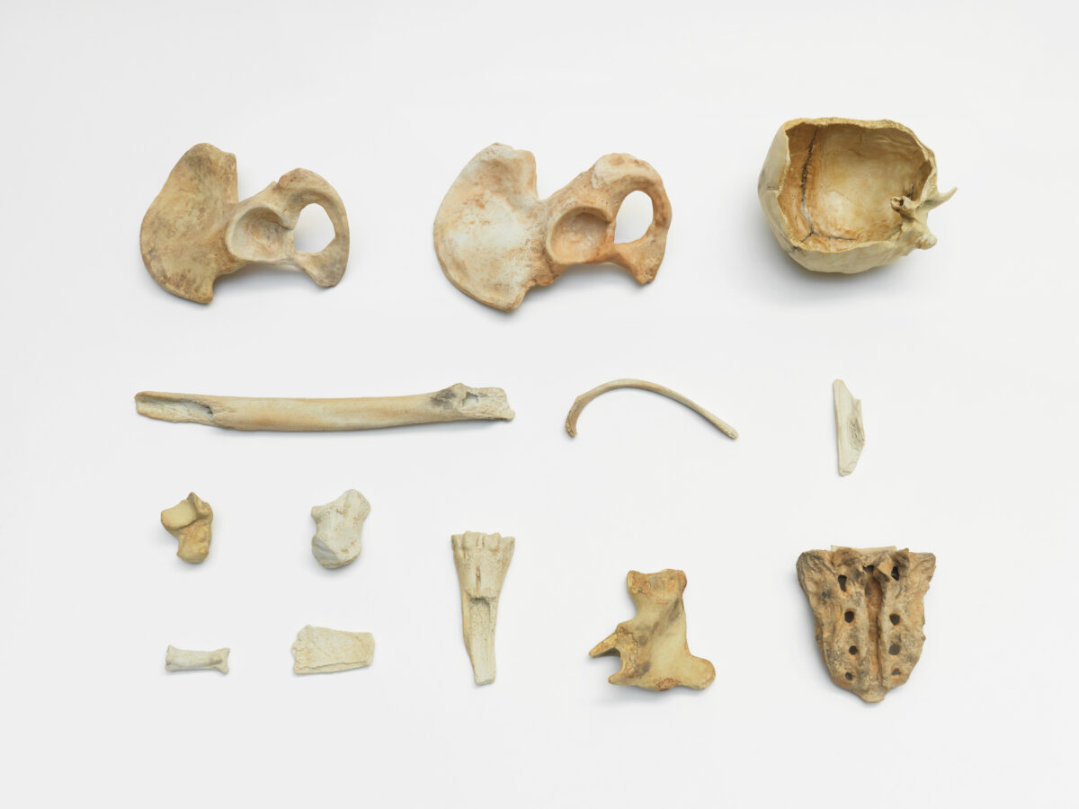 Ai-Weiwei,-Remains,-2014_photo-Jens-Ziehe