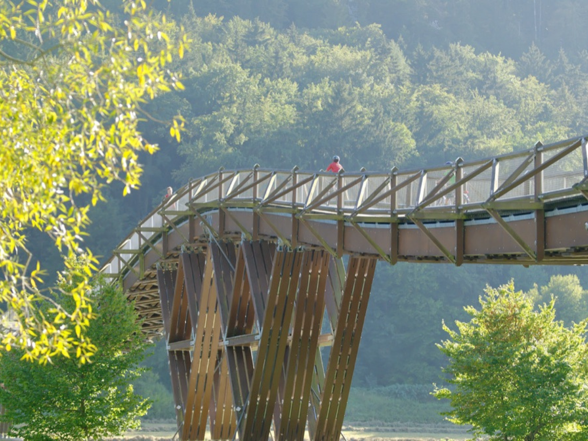 Il ponte di legno più lungo d'Europa Tatzelwurm, Canale Meno-Danubio