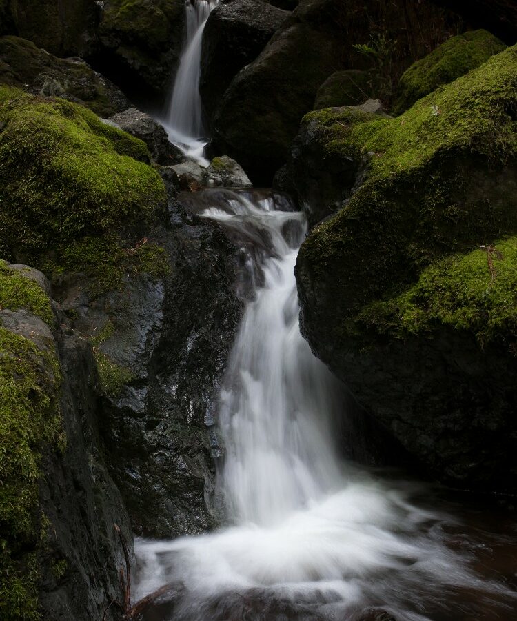 GettyImages-119249553