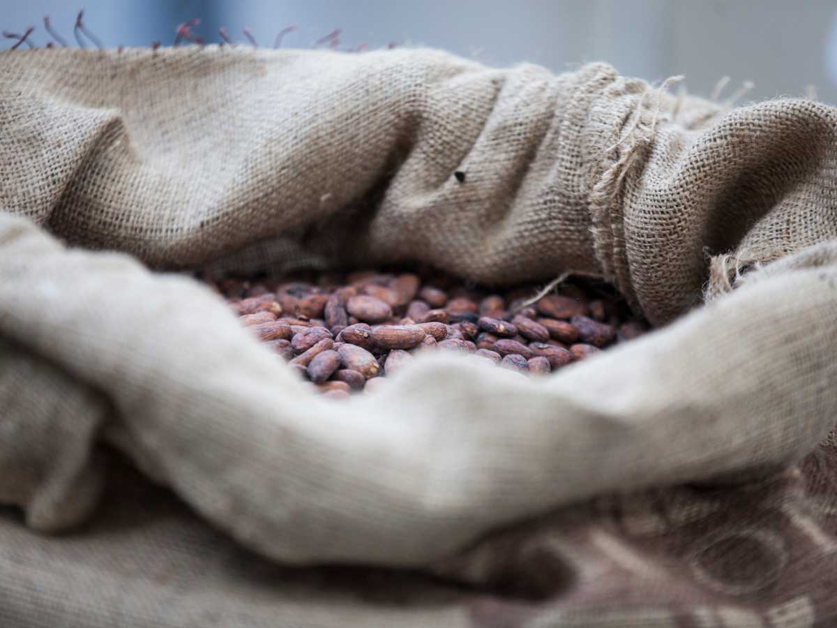 marco-colzani-laboratorio-cioccolato marco-colzani-laboratorio-cioccolato