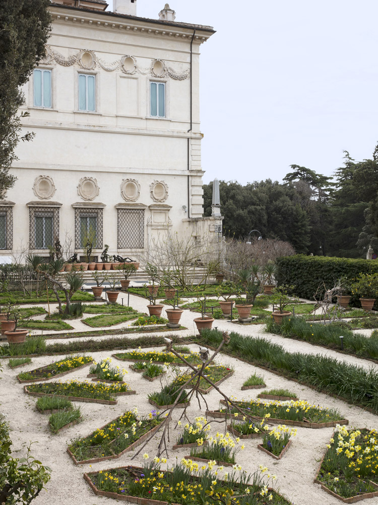 Giuseppe Penone. Gesti universali Giuseppe Penone. Gesti universali