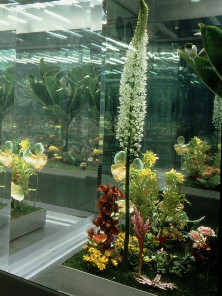 opere d’arte fatte di ghiaccio