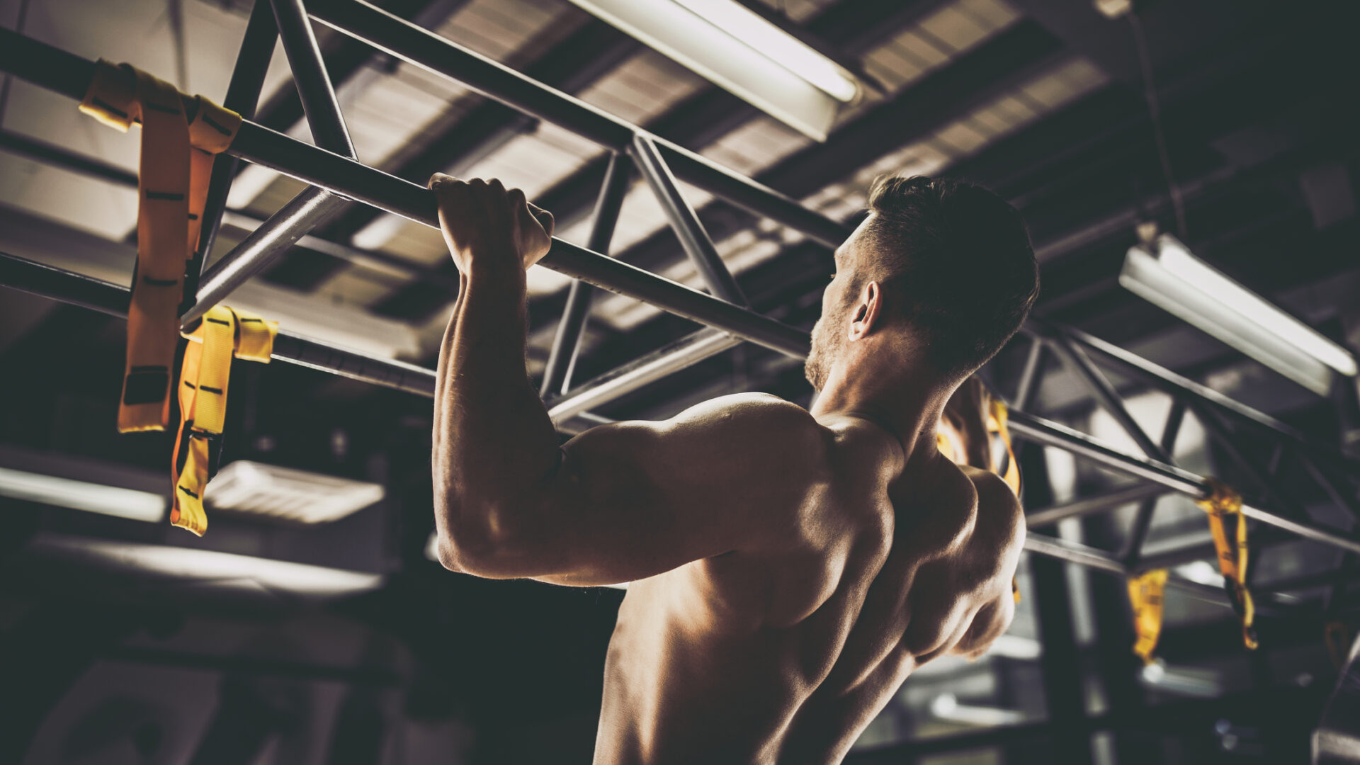 Allenamento dorsali: i migliori esercizi a casa e in palestra da fare