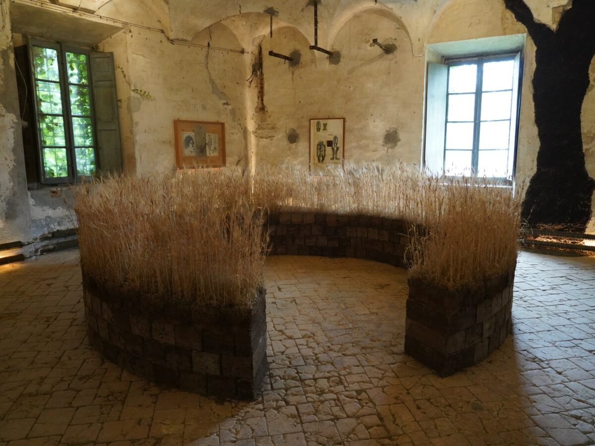 Museo della Merda, Piacenza