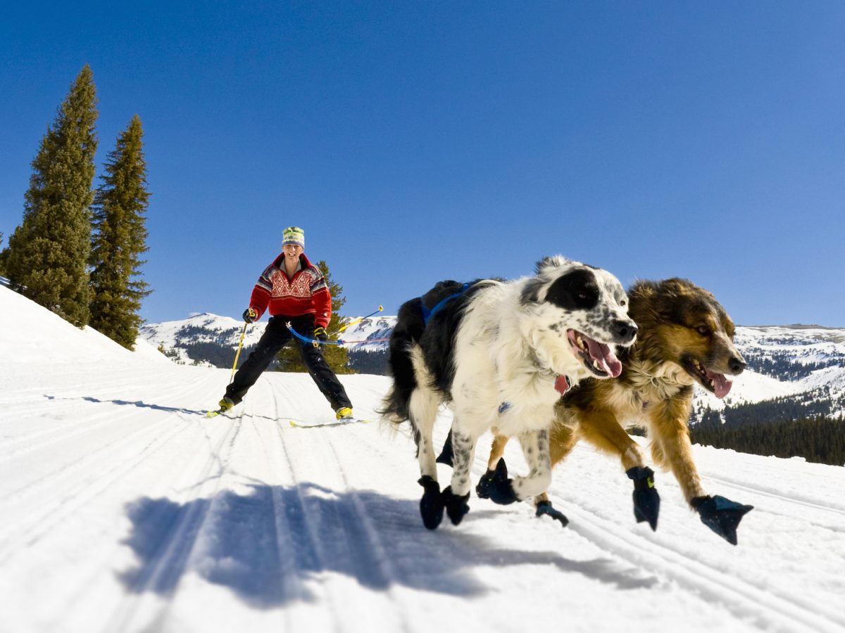 ski joring