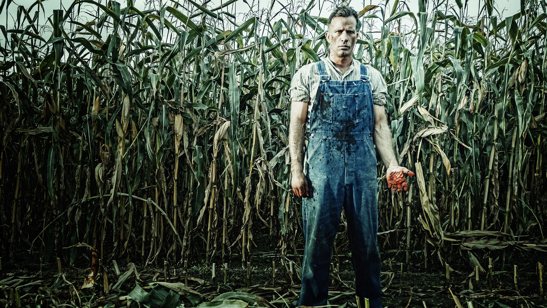 I film più belli da vedere su Netflix: 15 perle nascoste