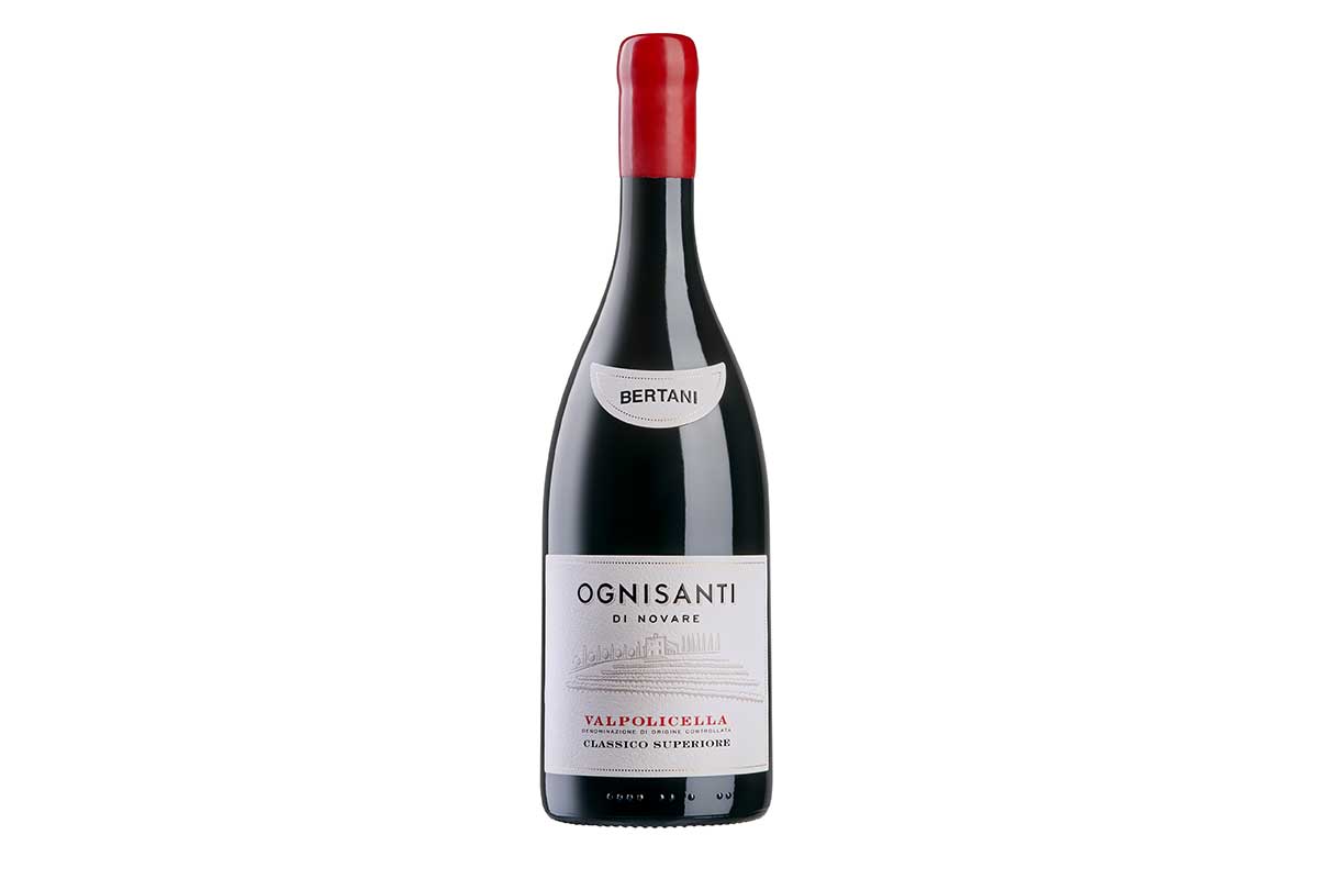 ognisanti-di-novare-bertani-natale ognisanti-di-novare-bertani-natale