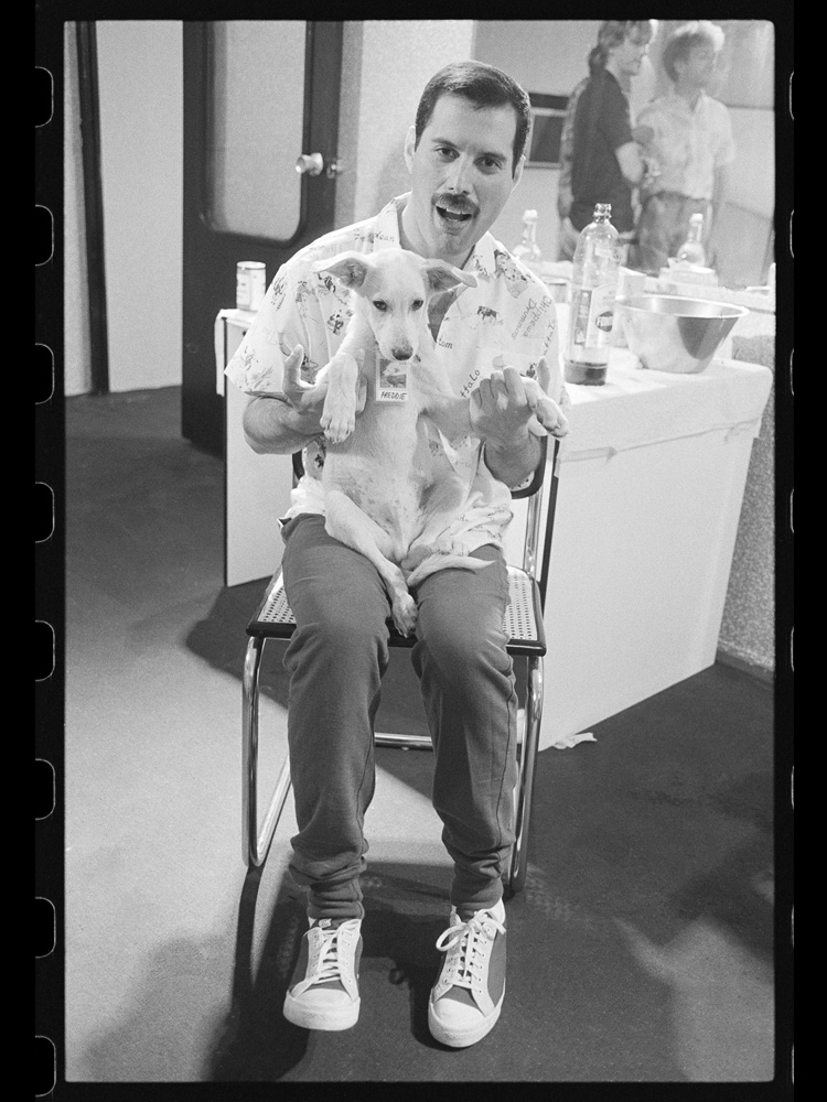 Freddie Mercury by Peter Hince