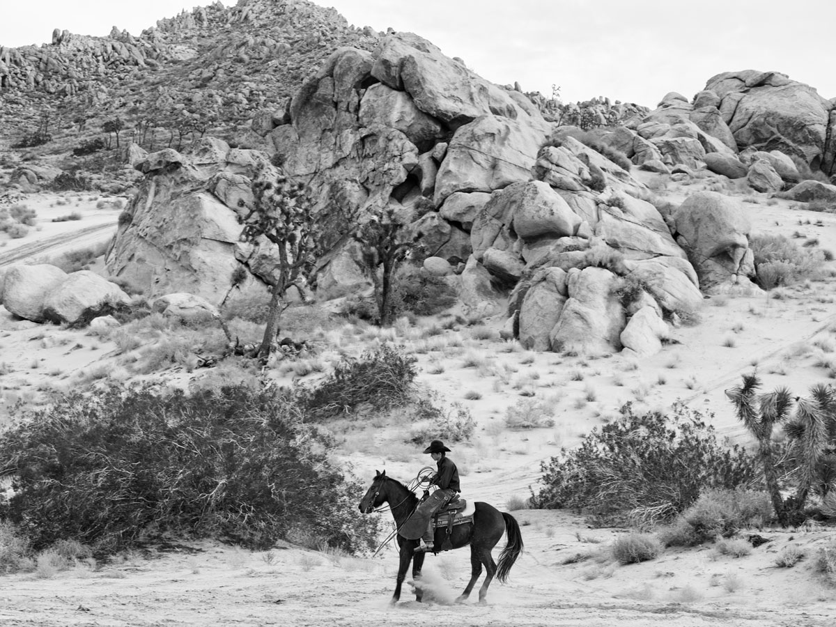 Symphonie Fantastique by Celine