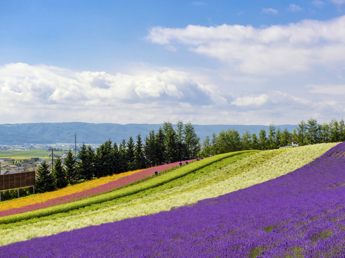 Hokkaido, Giappone