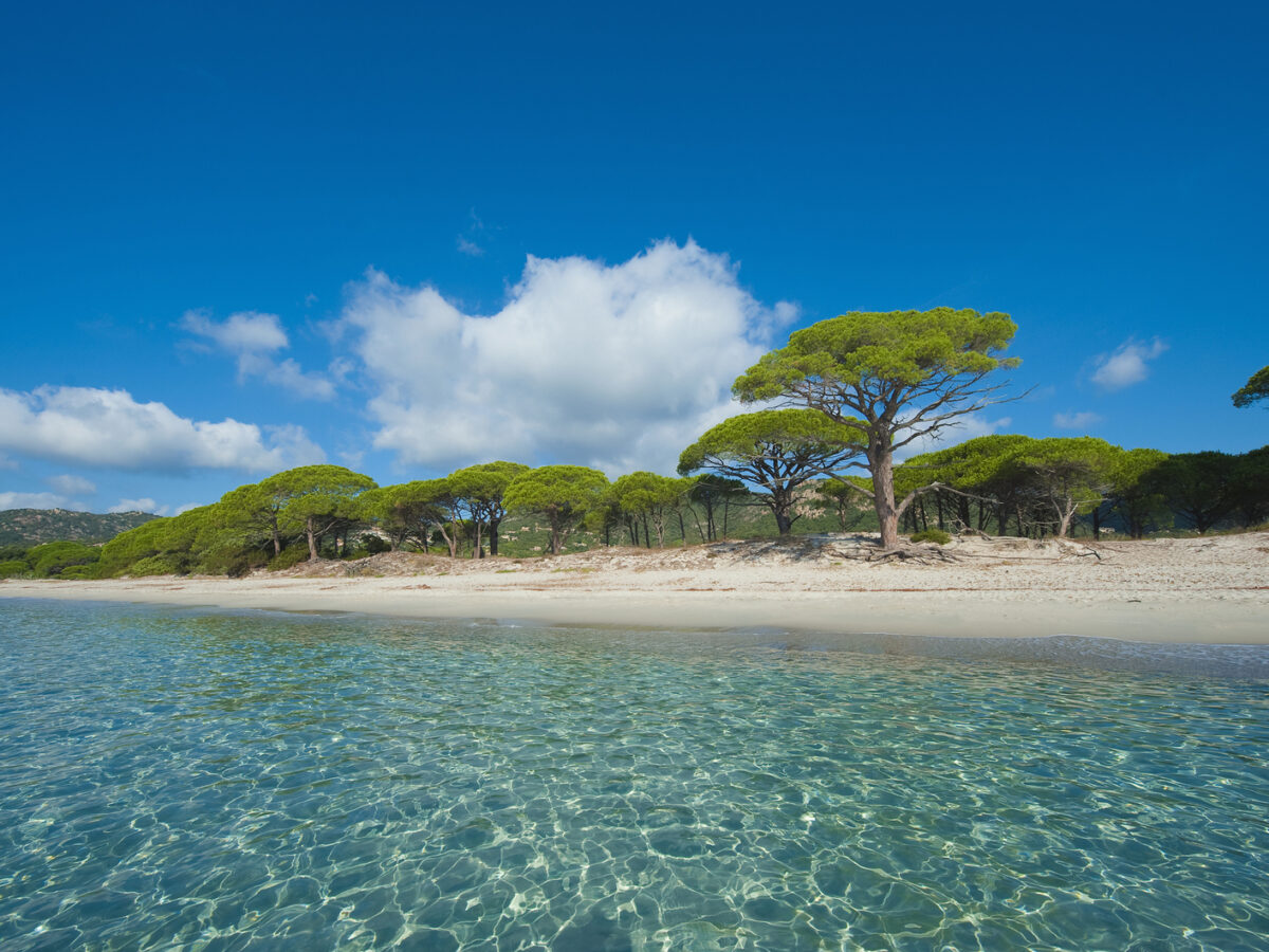 Palombaggia beach, Corsica