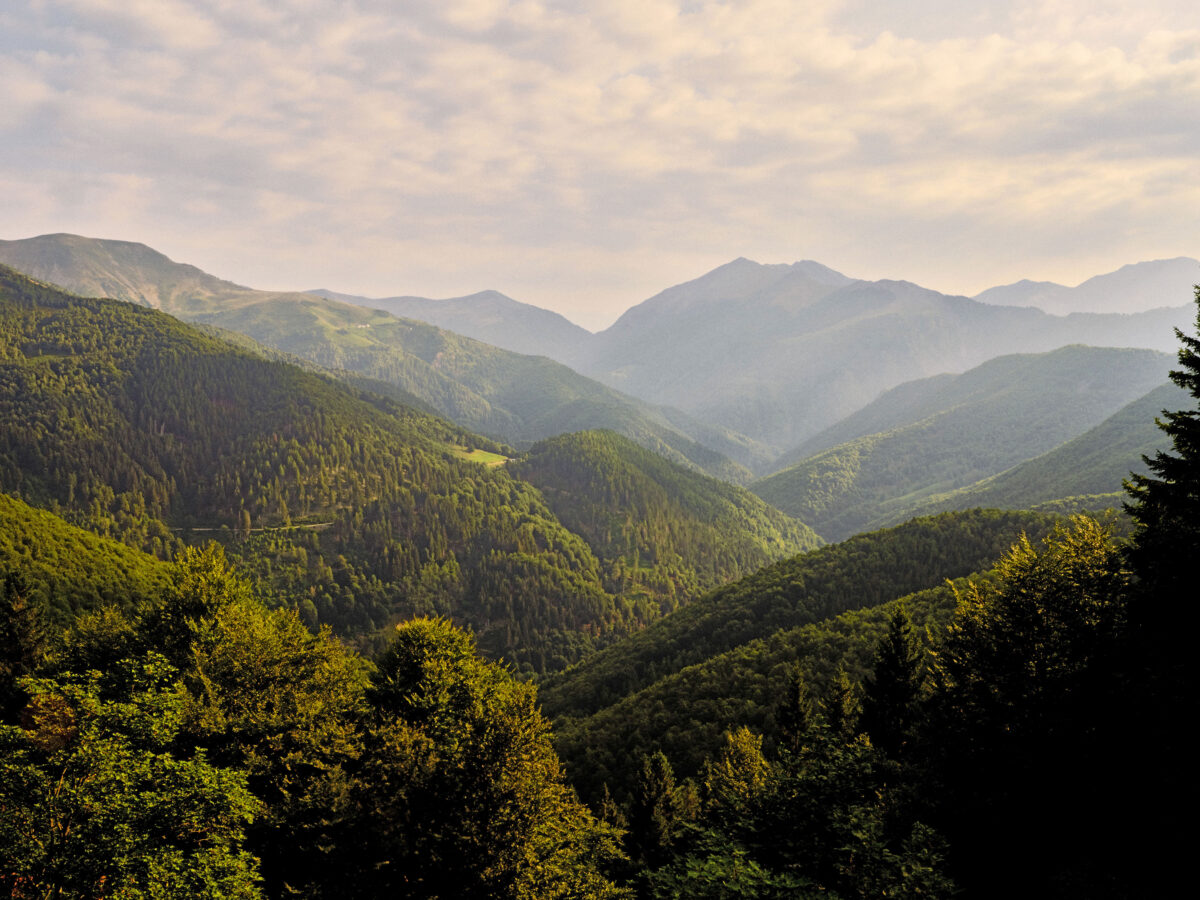 OASI ZEGNA_TRIVERO ITALY 1 _alta