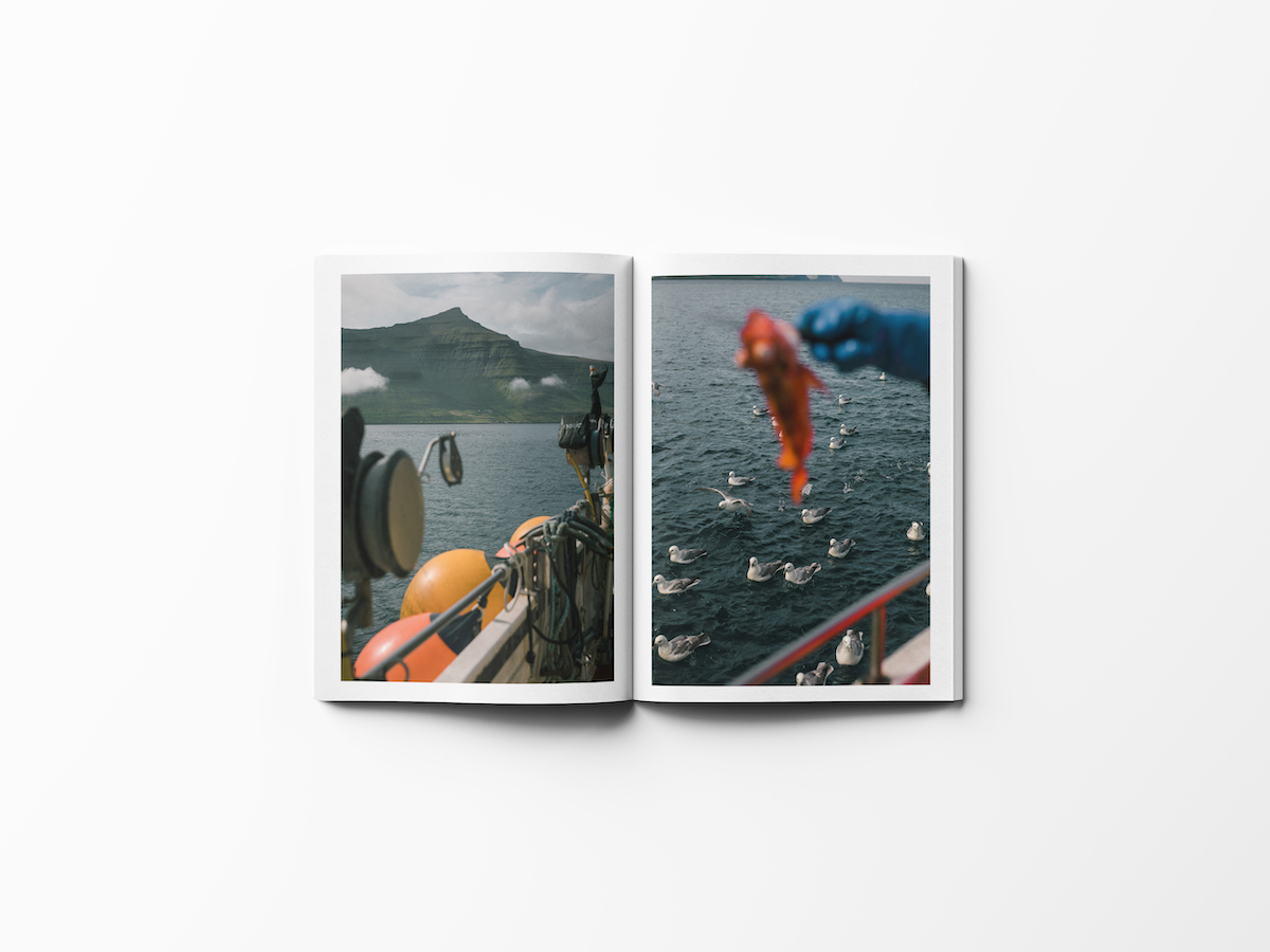 Inland - Nuovi imprevedibili magazine - ICON