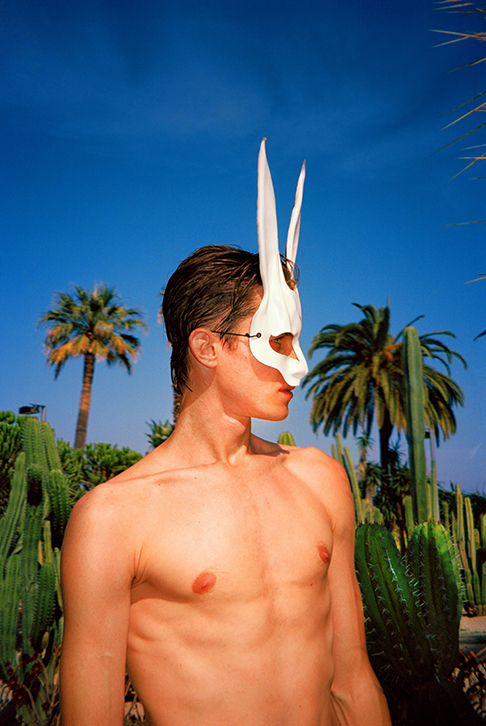 Hare 7