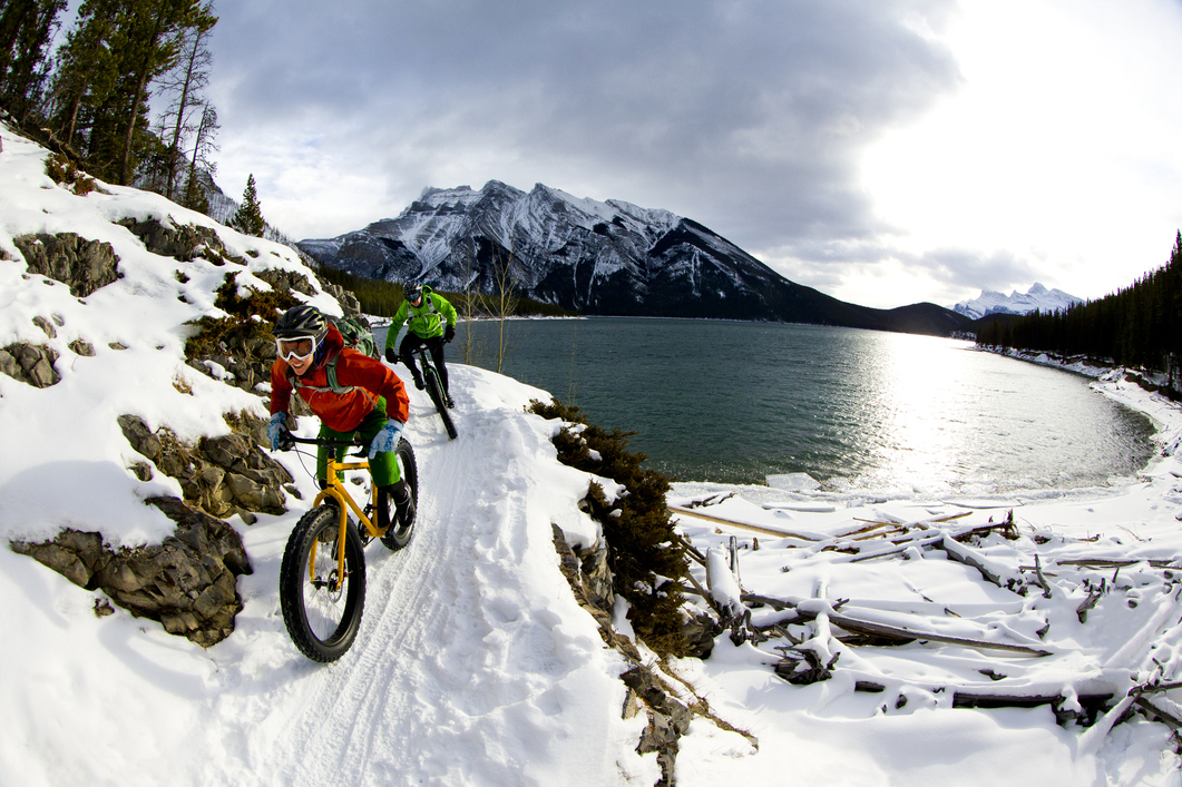 Fat bike Fat bike