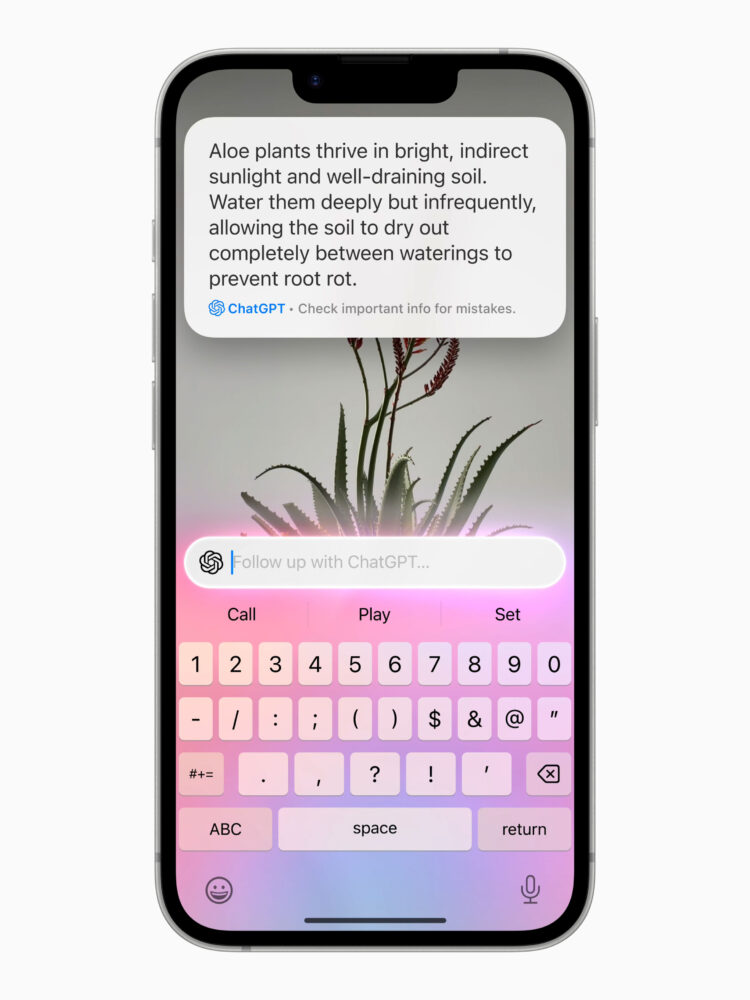 Apple-iPhone-16e-Visual-Intelligence-250219