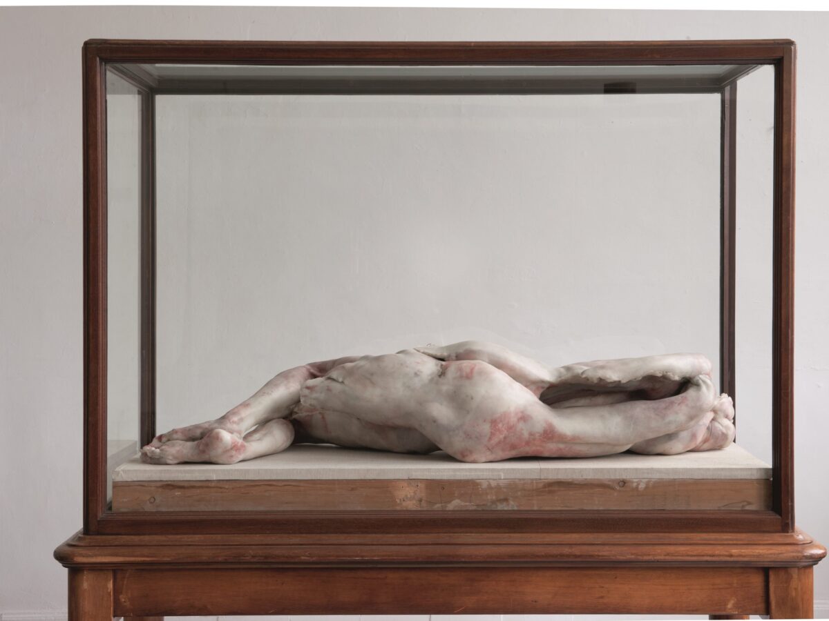 Berlinde De Bruyckere - Into One-another I to PPP - 2010–2011 (1)