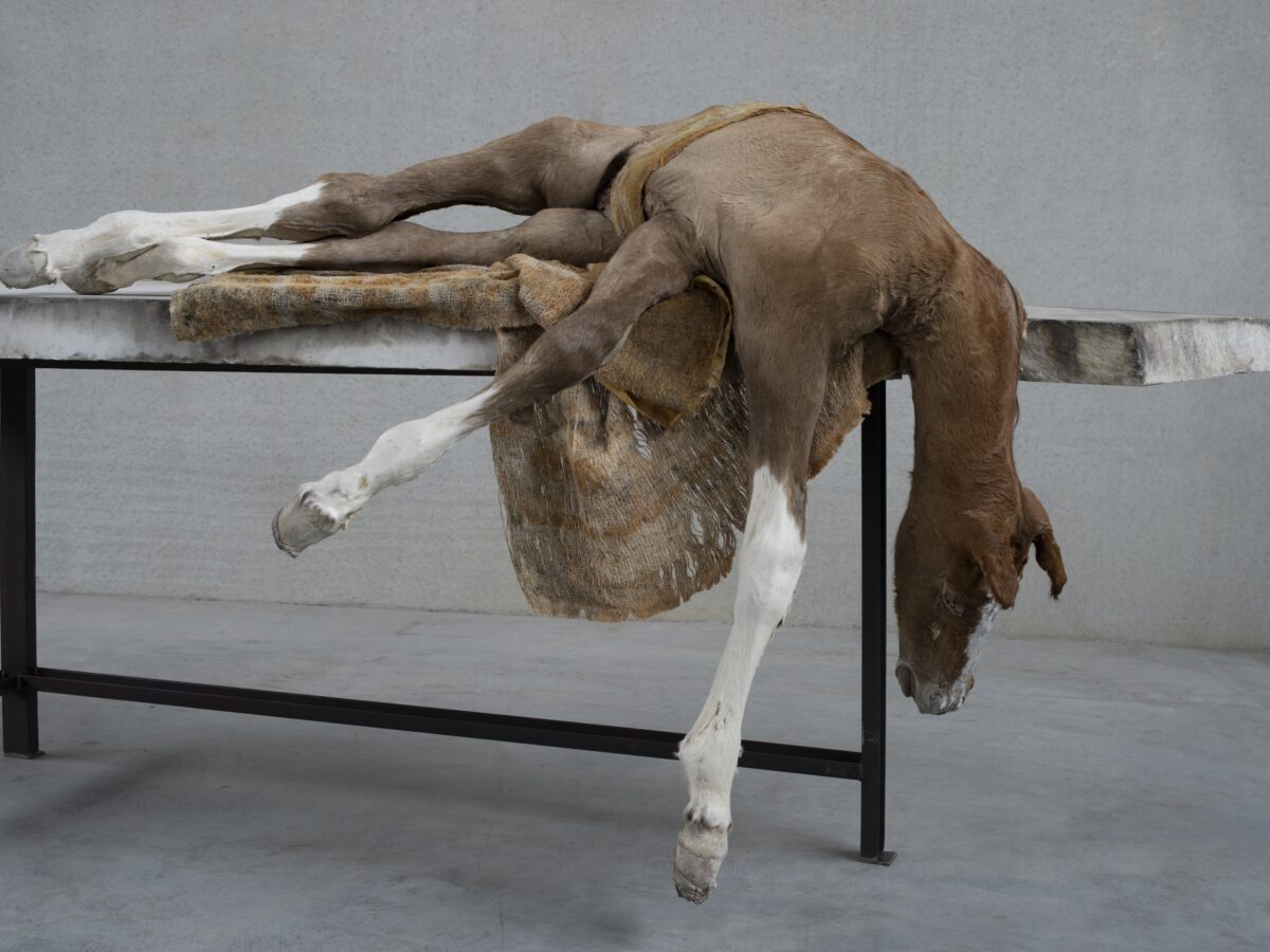 Berlinde De Bruyckere - Lost V - 2021-2022_detail must to see a marzo