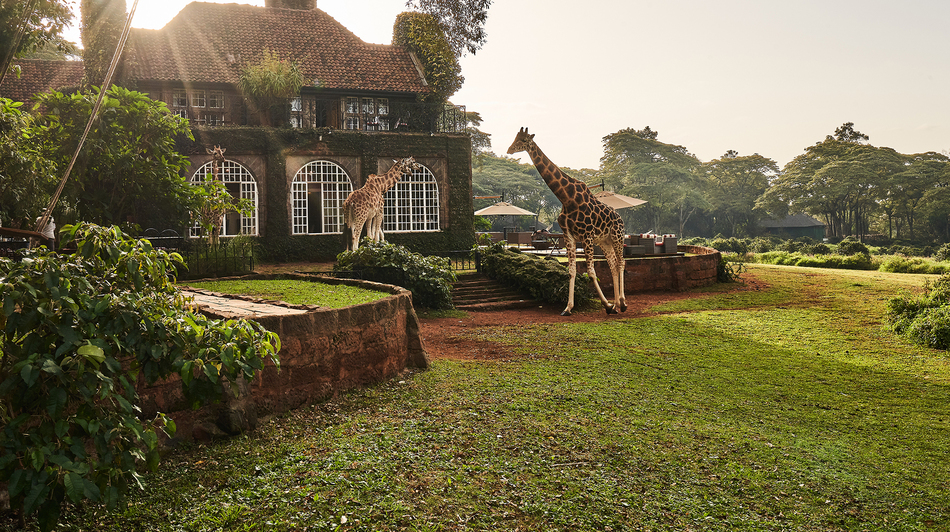 Giraffe Manor hotel Nairobi