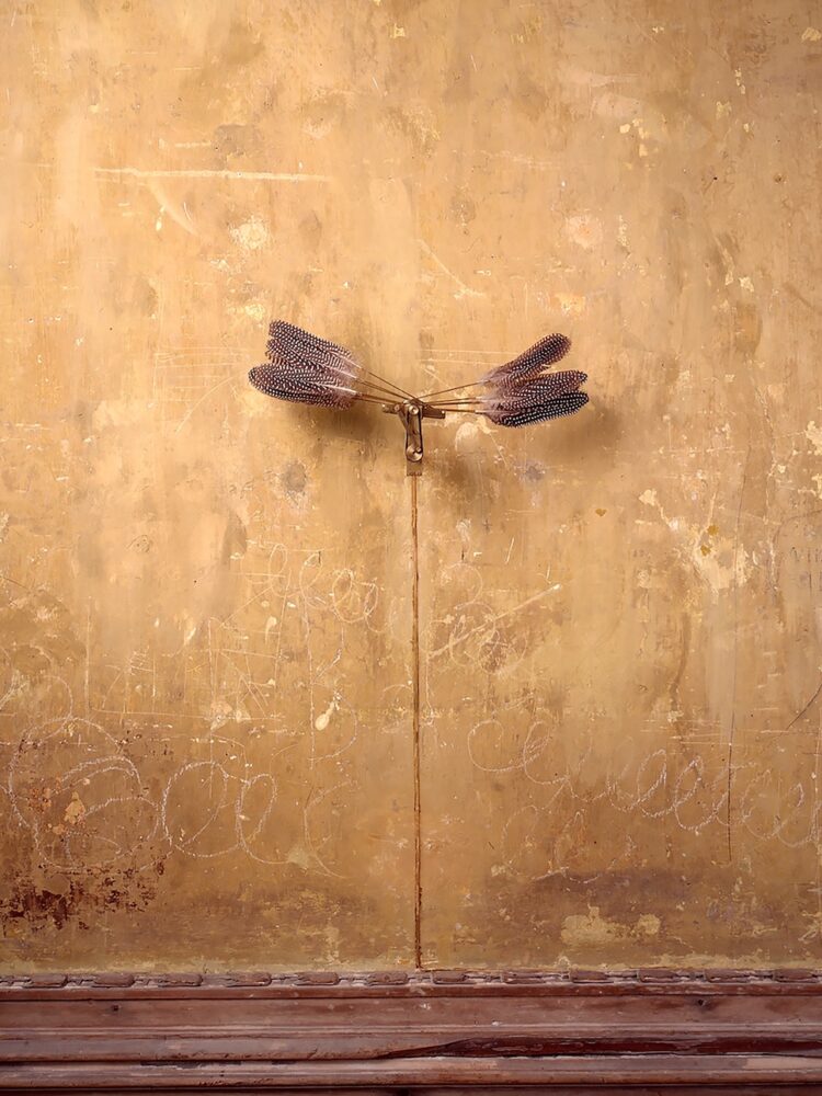 Rebecca Horn 1996_4_Il logos del corpo vivente_img_HR_019 copia