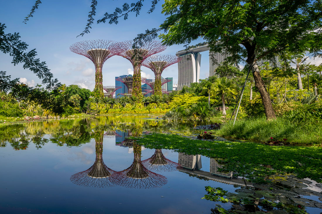 Singapore - Gardens by the Bay by CPG, Grant Associates & Wilkinson Eyre Architects. Image courtesy of CPG