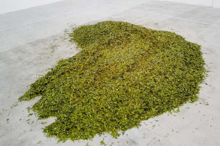 Giuseppe Penone, Soffio di foglie, 1979-2015