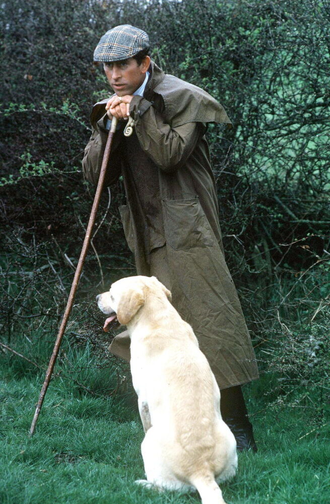 Charles Labrador Dog