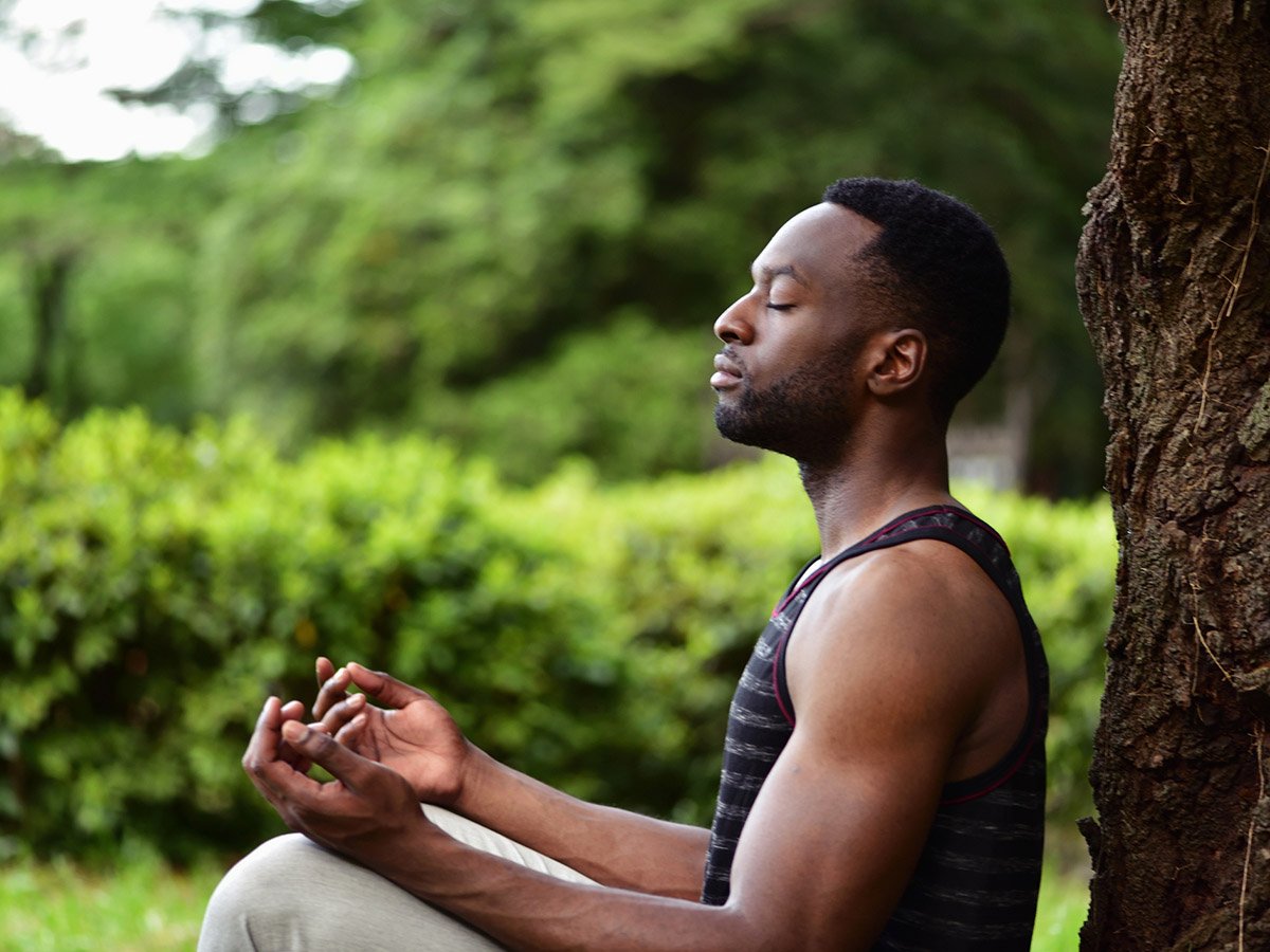 meditazione, parco, albero meditazione, parco, albero