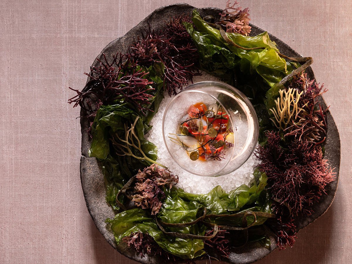 Un piatto del nuovo 2 stelle Michelin Un piatto del nuovo ristorante 2 stelle Michelin