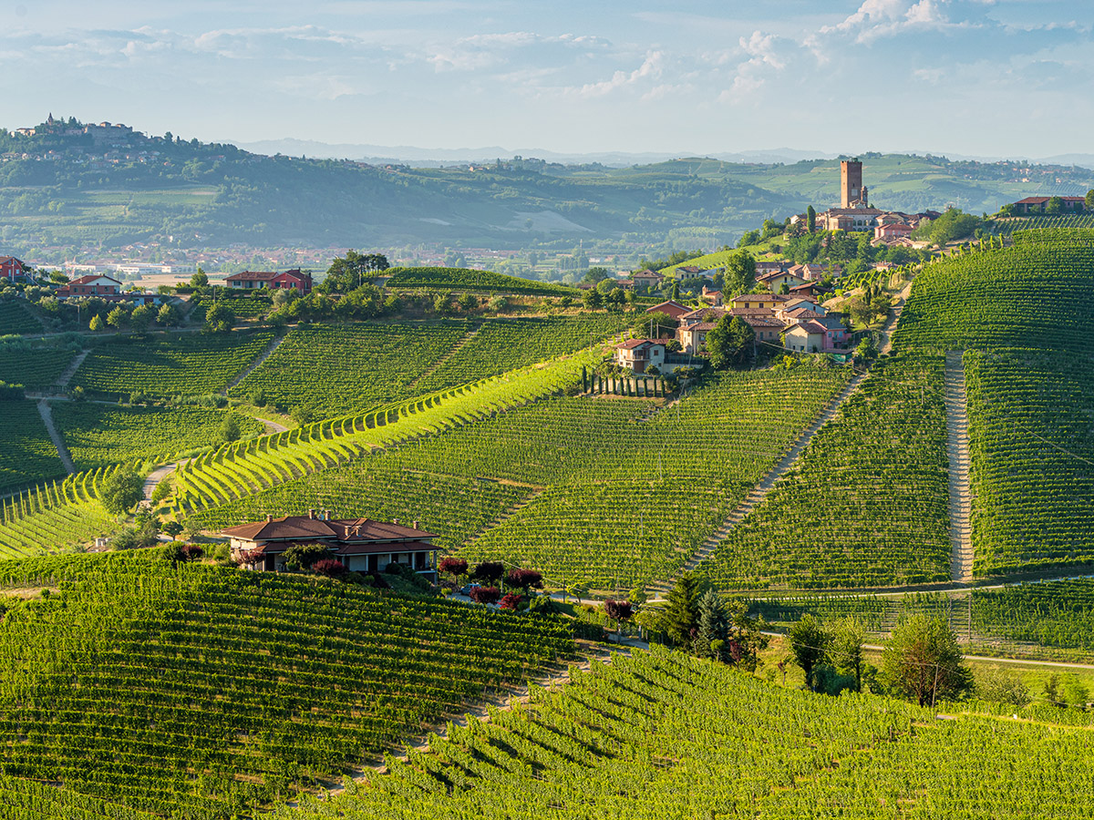 Langhe Langhe